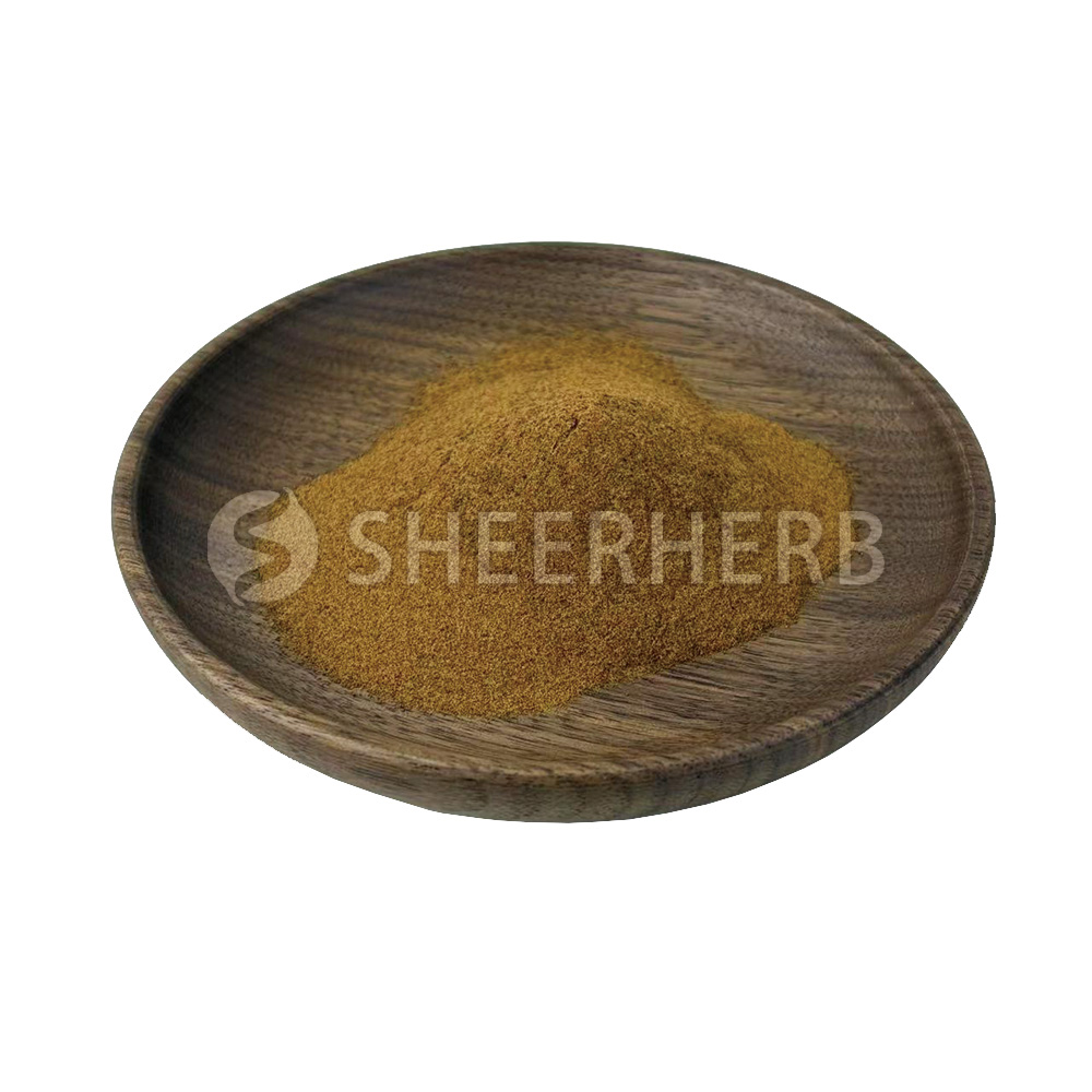 Shilajit Extract Powder