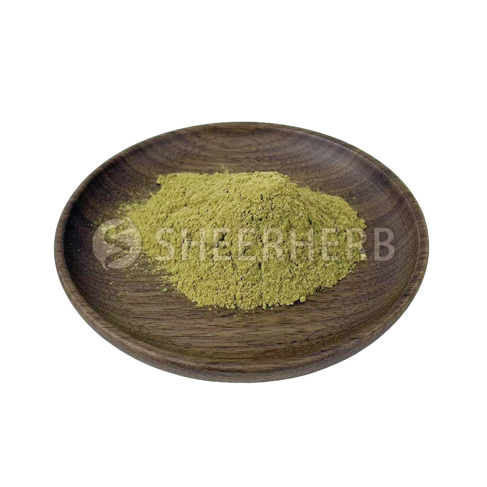 Green Coffee Bean Extract 50% Chlorogenic Acid
