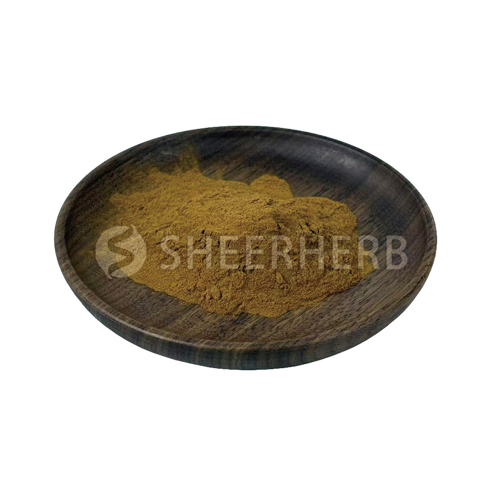 Bacopa Monnieri Extract