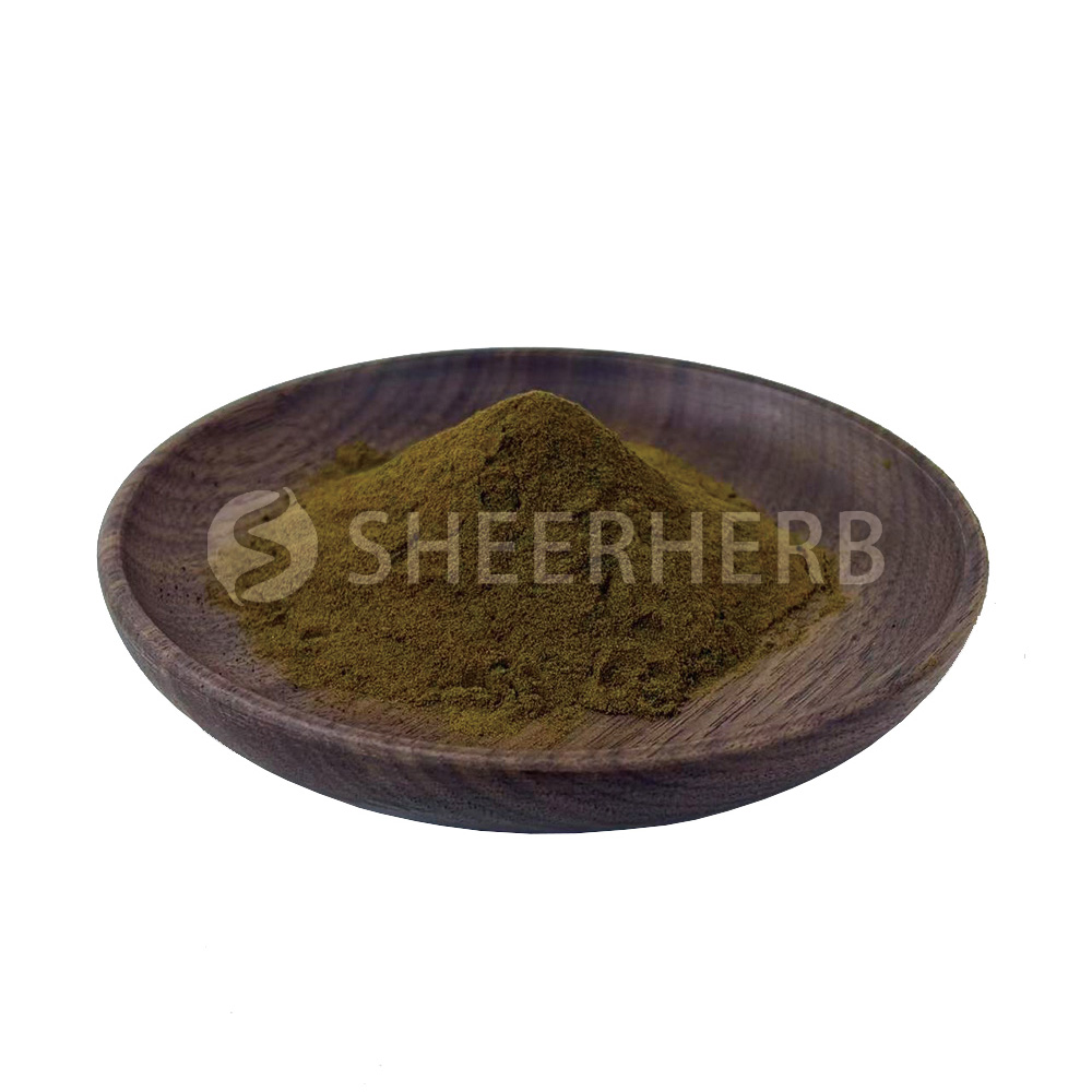 Chasteberry Extract Powder