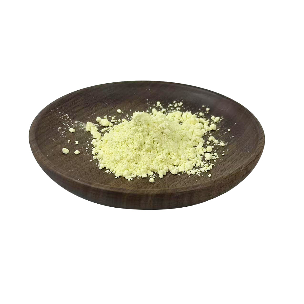 Rutin Powder Sophora Japonica Extract