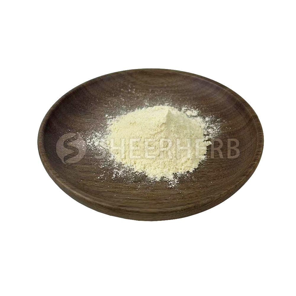 Lion's Mane Extract Polysaccharides