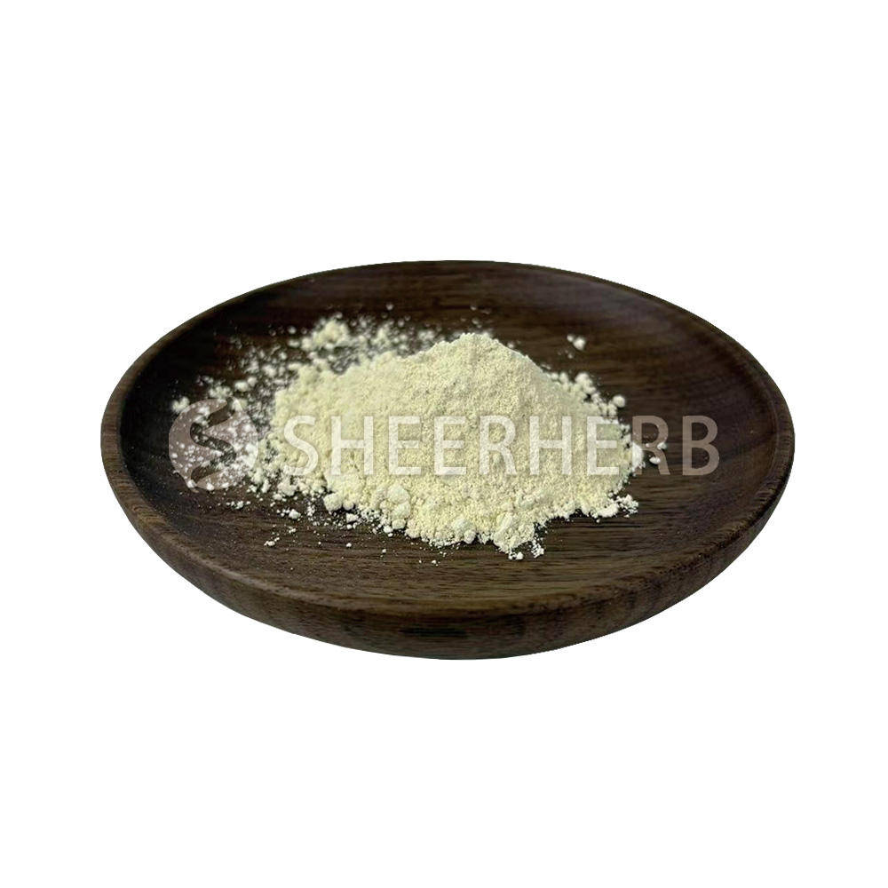Bromelain Enzyme Powder