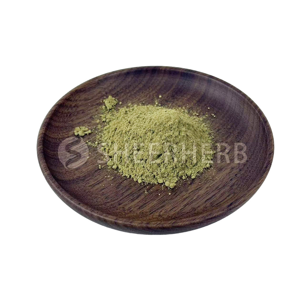 Dandelion Extract Powder