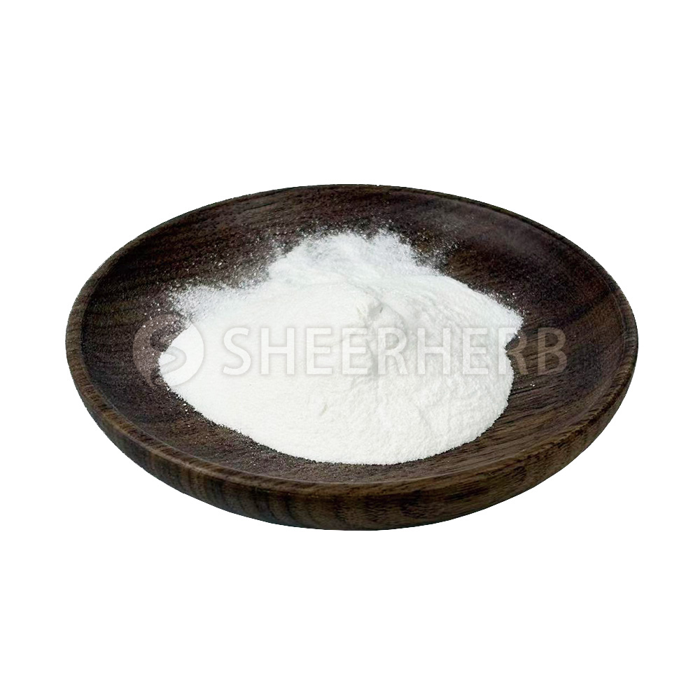 Lactic Acid Bacteria Powder