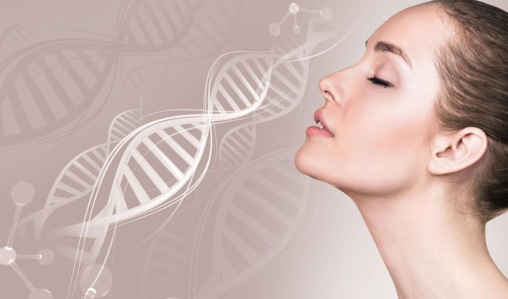 A Comprehensive Comparison of Major NAD+ Precursors