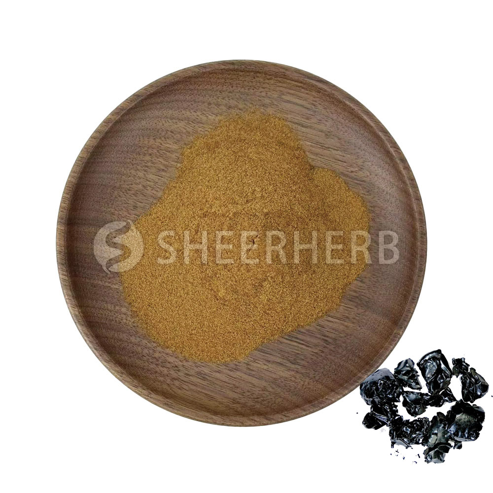 Organic Shilajit Powder Extract - 100% Pure Himalayan Shilajit Mineral Supplement with Measuring Scoop