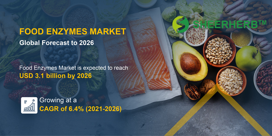 Food Enzymes Preparations: The Core Variable Driving the Future Food Revolution
