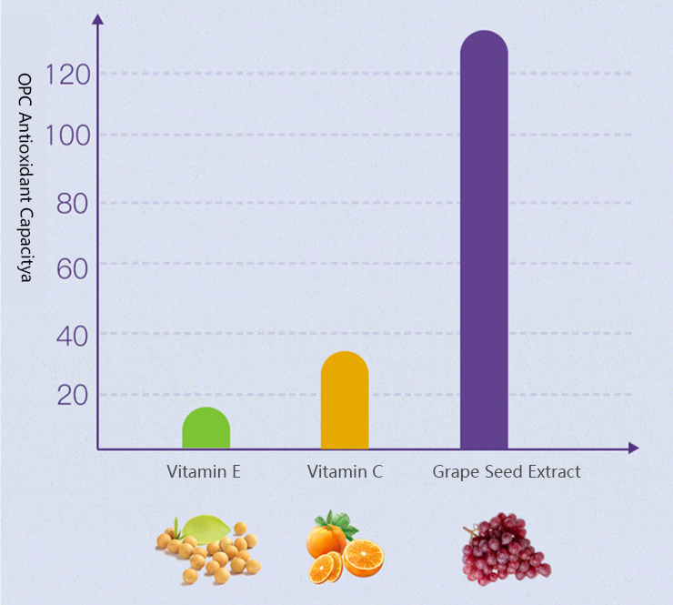 Grape Seed OPC: Science Protects Your Heart and Brain