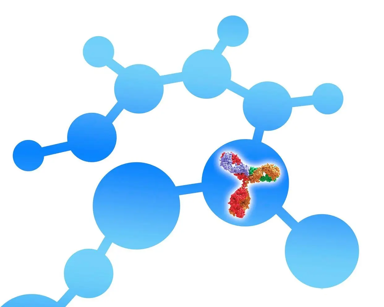 The Role of DAO Enzyme in Managing Histamine Intolerance