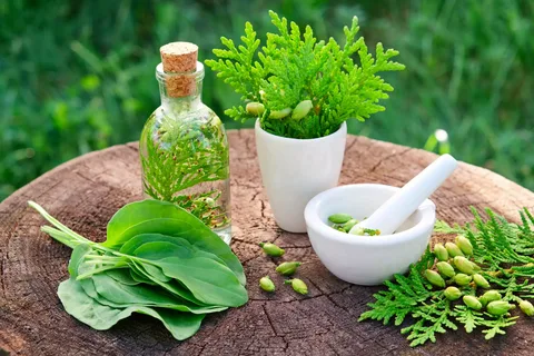How to Choose Herbal Extract Forms