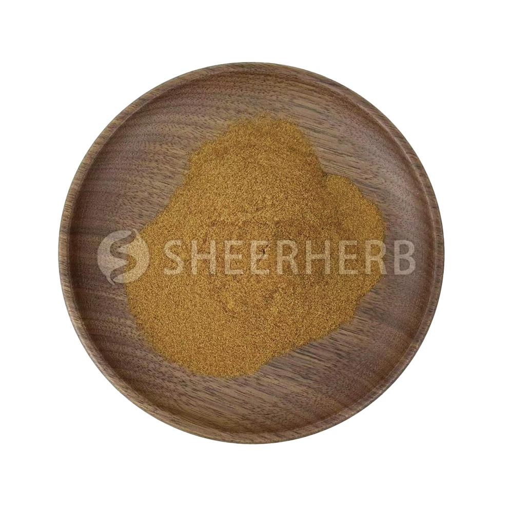 Jujube Seed Extract Powder