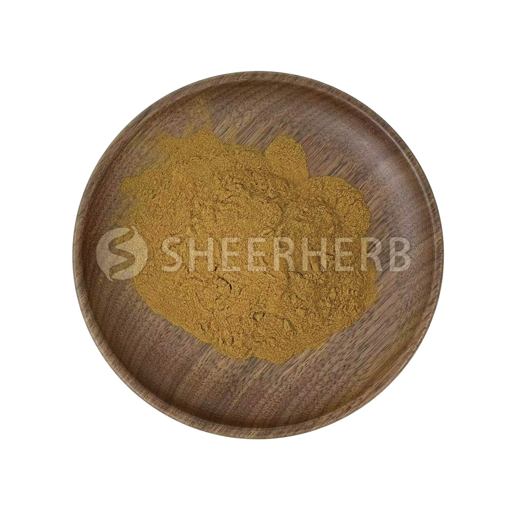 Cinnamon Extract Cinnamaldehyde Powder