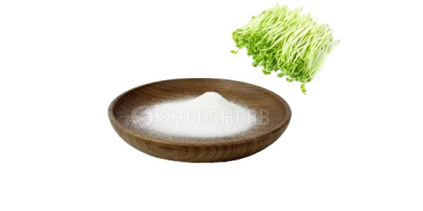 pea dao